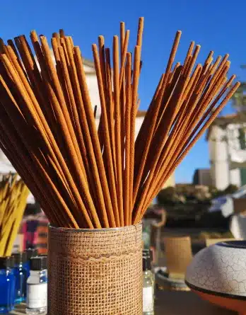 ensemble de bâtonnets d'encens au parfum musk présenté dans un pot en extérieur