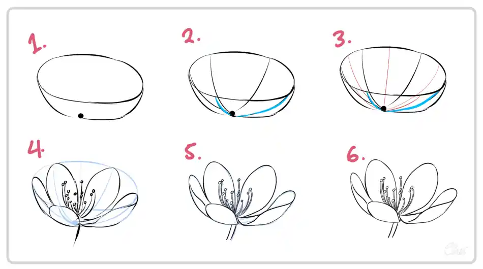 The image is a step-by-step drawing tutorial showing how to draw a flower. The first step shows an oval shape with a small black dot at the bottom. The second step adds curved lines inside the oval, converging at the black dot, and a blue curved line at the bottom. The third step adds more curved lines inside the oval, with some lines in red and blue. The fourth step shows the addition of petals and stamens inside the oval, with blue lines indicating the shape and placement of the petals. The fifth step refines the petals and stamens, making them more detailed and defined. The sixth step completes the drawing with fully detailed petals and stamens, creating a realistic flower.