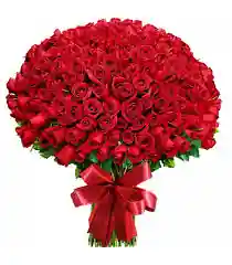 The image shows a large bouquet of red roses. The bouquet is composed of numerous red roses, tightly arranged together. The stems are gathered and tied with a red ribbon, forming a neat and elegant presentation. This image is interesting and relevant as it depicts a classic symbol of love and romance, often used for special occasions such as anniversaries, Valentine's Day, or weddings.